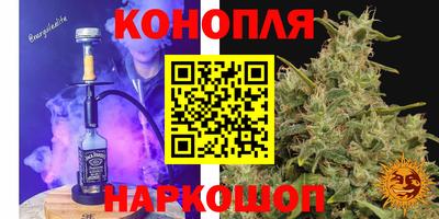 гидра Рыбинск