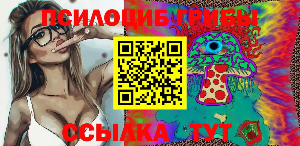 Галлюциногенные грибы Psilocybe Югорск